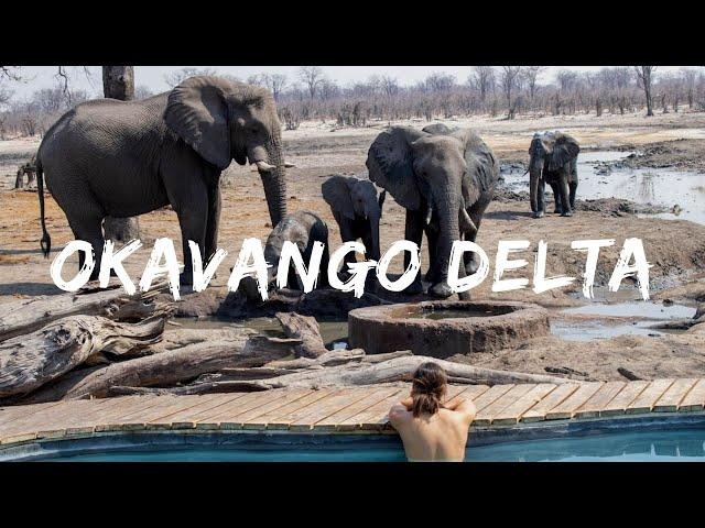 THIS is the Okavango Delta, Botswana | Travel video