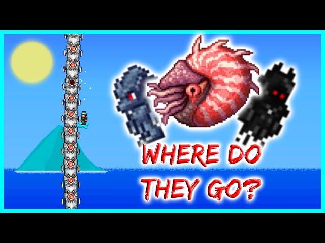 Where Do Night Enemies Go After Dawn in Terraria?