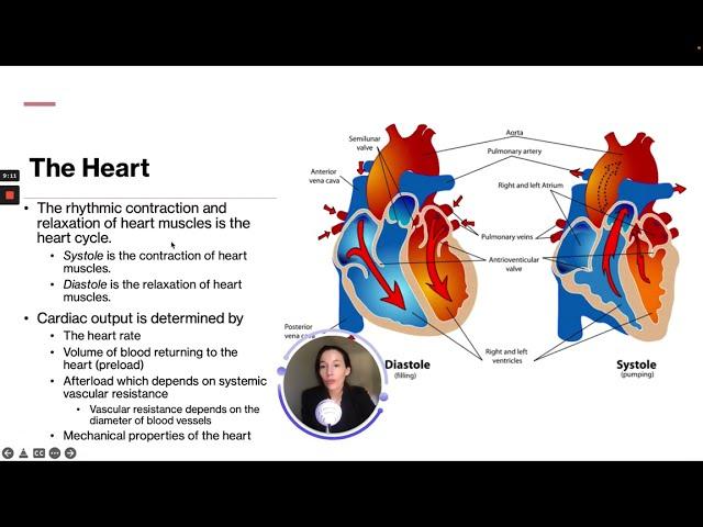 ATI TEAS 7 Science Course | Cardiovascular System