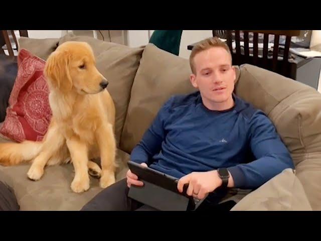 Funniest Dogs and Human Video 2024!