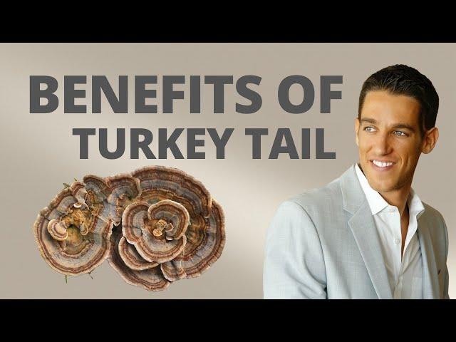 Benefits of Turkey Tail Mushroom (Trametes/Coriolus Versicolor)