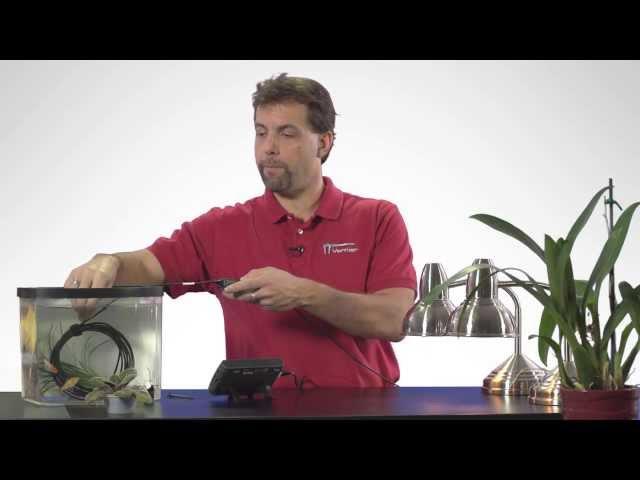 PAR Sensor - Tech Tips with Vernier