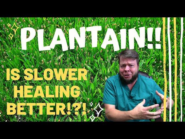 Medicinal Plantain Power! Slower is BETTER? - The HomeGrown Herbalist