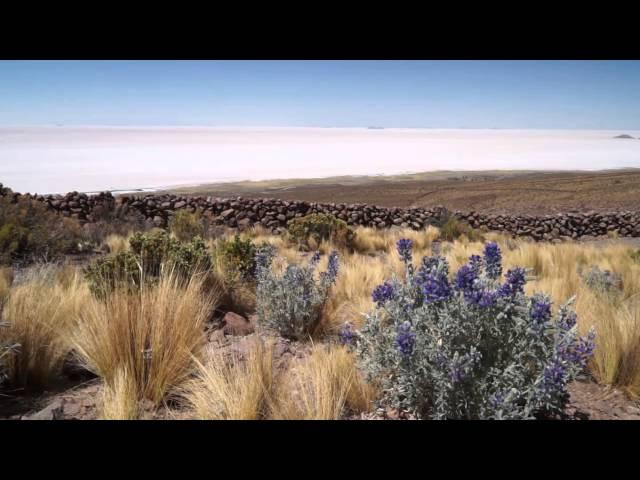 Bolivia Chile - Altiplano to Atacama Explorer