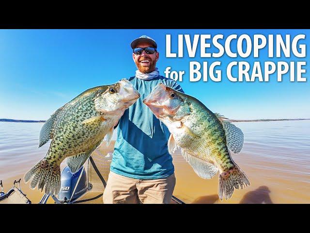 Using LiveScope to Catch HUGE Crappie in Mississippi