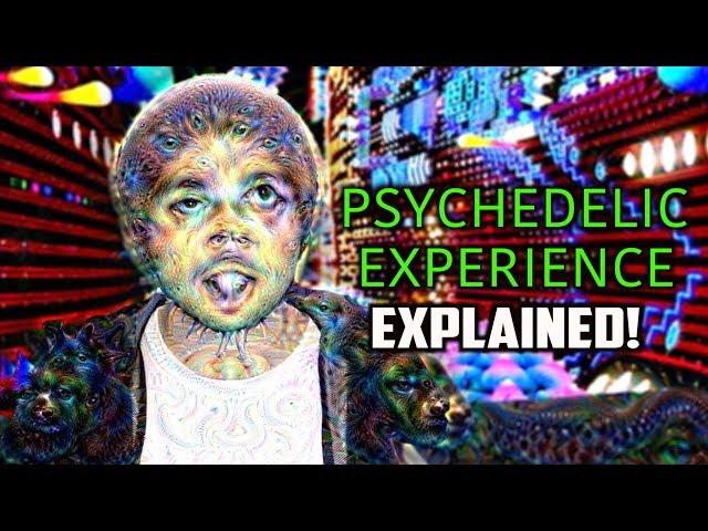 10 Hallucinatory States Of The PSYCHEDELIC Experience