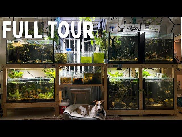 My Private Fish Room Revealed – An Exclusive Look Inside!