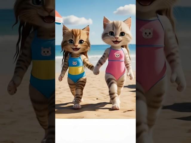 Two cute kittens are in a fashion show on the beach. Dudi dudi dam dam song.
