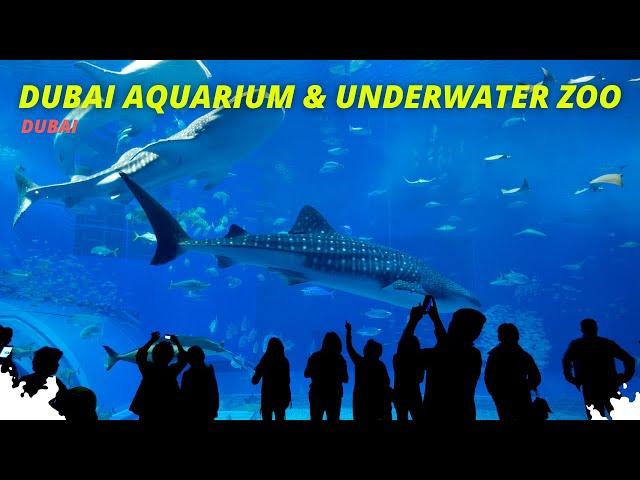 Dubai Aquarium & Underwater Zoo #dubai #dubaiaquarium