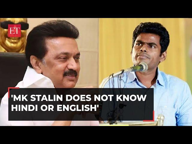 'MK Stalin does not know Hindi or English': TN BJP chief Annamalai's dig at DMK over language row