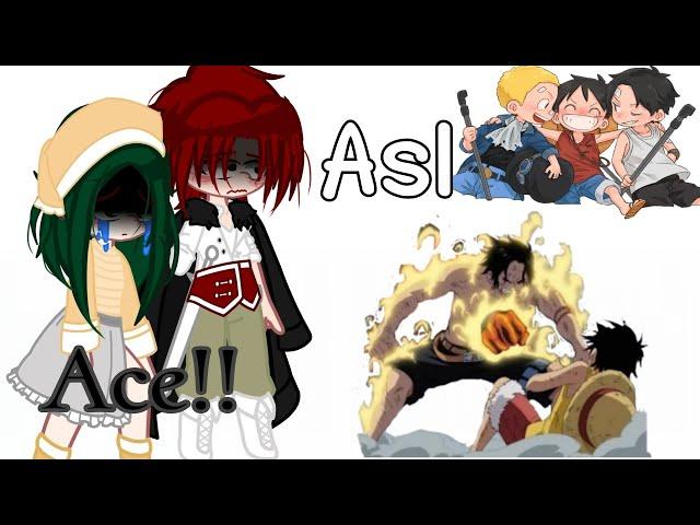 luffy family react to Asl future/one piece‍️///gacha nebula