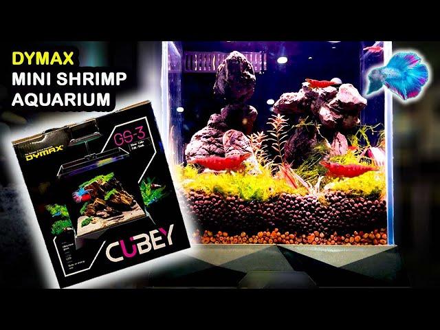 Best Shrimp Aquarium? DYMAX CUBEY REVIEW ~