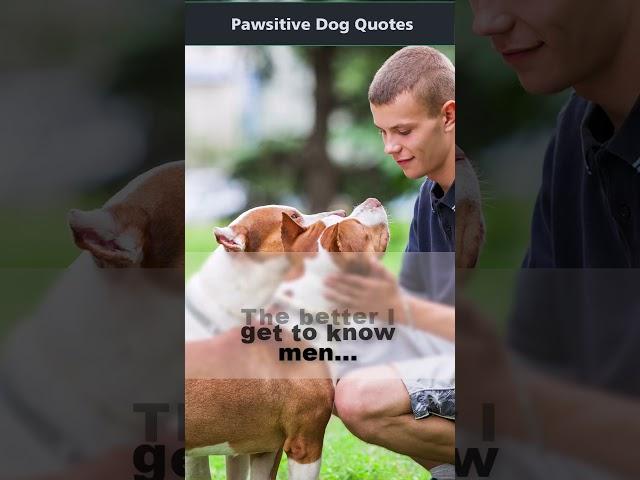 Pawsitive Dog Quotes | The Better I get to Know Men... #shorts