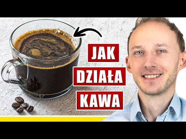 Regularne picie kawy: 15 efektów na zdrowie (dobrych i złych) | dr Bartek KRÓCEJ