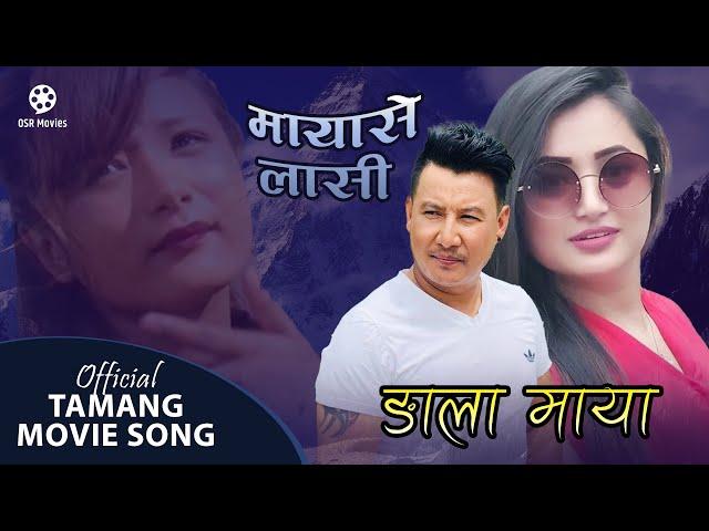 Ngla Maya - Tamang Movie Mayase Laasi Song || Bishal Kaltan || Kumar Moktan, Bimala Jimba