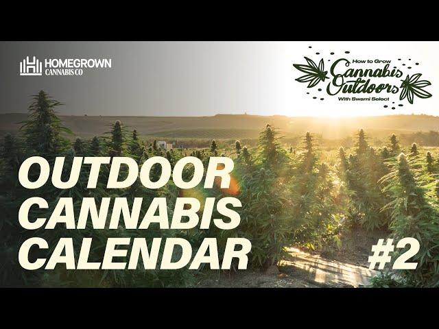 Outdoor Grow Calendar For Marijuana Plants: A Complete Guide | How to Grow Cannabis Outdoors EP2