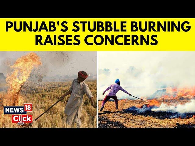 Delhi Pollution | Stubble Burning | Punjab's Stubble Burning Raises Concerns | English News | N18V