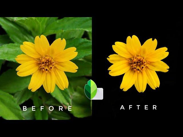 How to make background black in snapseed | how to black background in photo