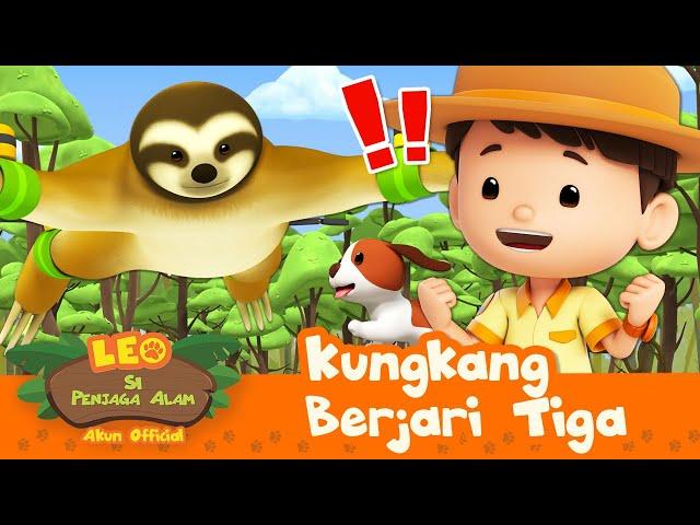 KUNGKANG yang bisa bergerak dalam SEKEJAP! | Kungkang Berjari Tiga | Leo Si Penjaga Alam | #minisode