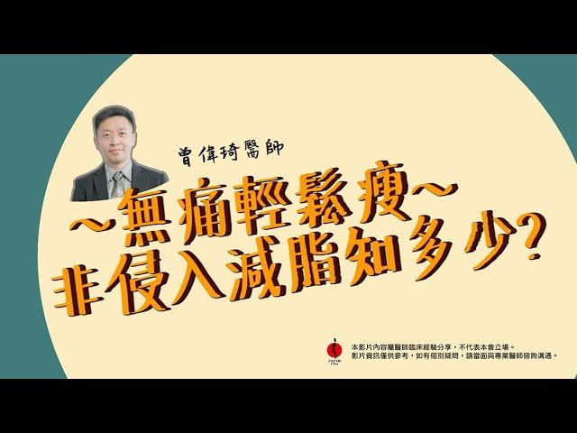 【非侵入式體雕】無痛輕鬆瘦，非侵入減脂知多少？ | 曾偉琦醫師 | 萊波亞美醫診所