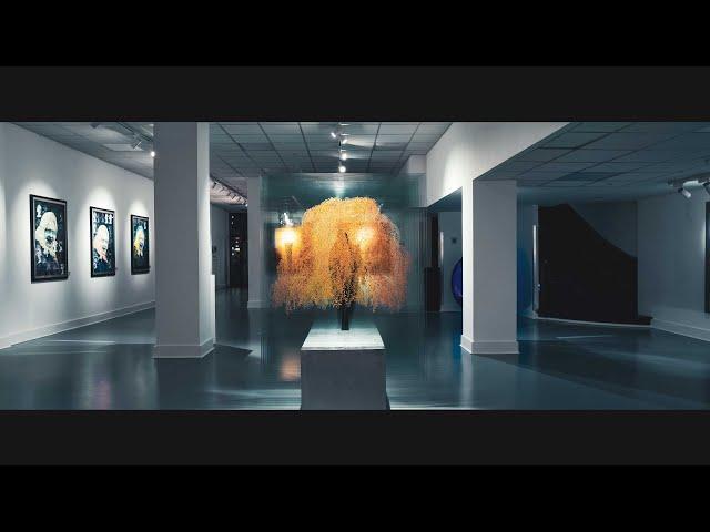 Art Gallery Opening || Cinematic Short Video || A7III