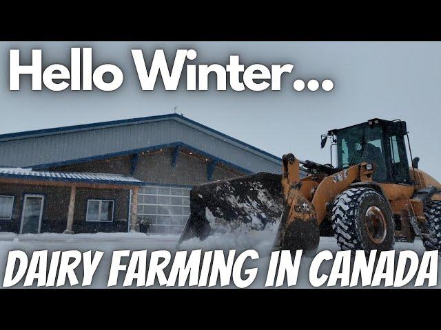 Winter Hit The Farm HARD... This Is How We Did