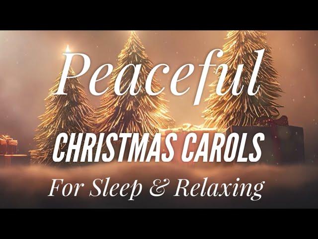 Peaceful Christmas Carols for Sleep & Relaxing (11 Hours)