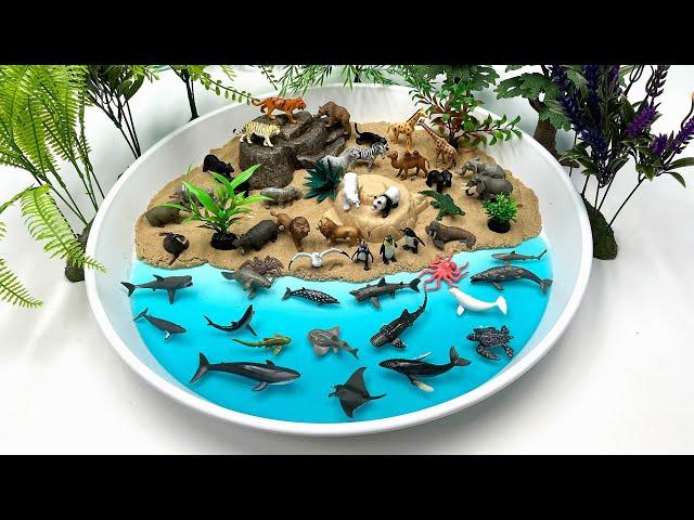 Diorama Ocean World For Sea Animals Safari Animals| 혹등고래 귀신고래 매너티 바다사자 한천가루