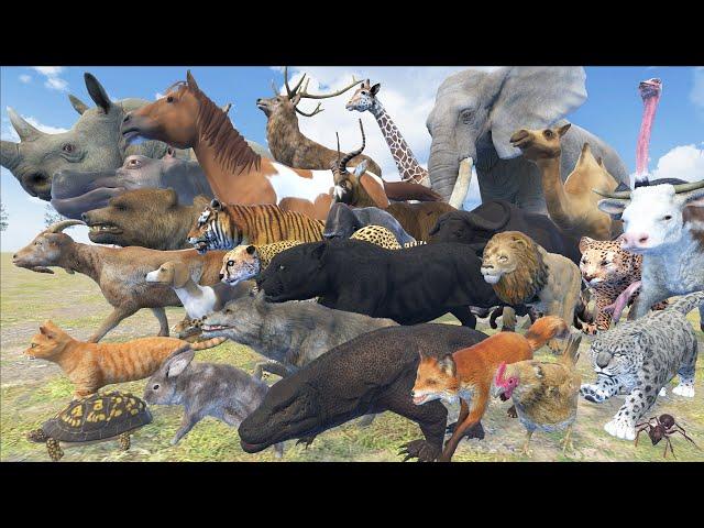 Terrestrial Animal Speed Comparison in 3D Animation | Realistic World Data