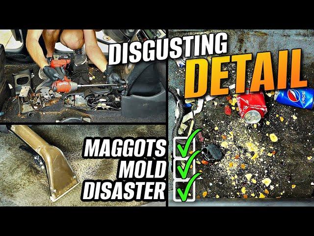 Most Disgusting Maggot Filled Car I've Ever Cleaned | Car Detailing Restoration