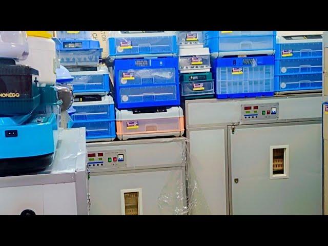 Egg Incubator Full Automatic || Best Egg Incubator || Incubator price In Pakistan