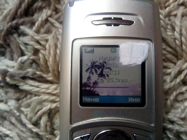 Samsung SGH-C100 Входящий вызов/Incoming call