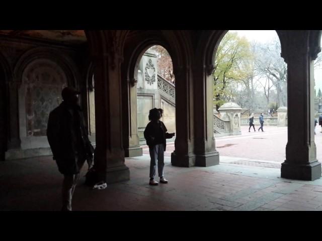 Central Park NYC / A Thousand Years - New York - Amazing Singers