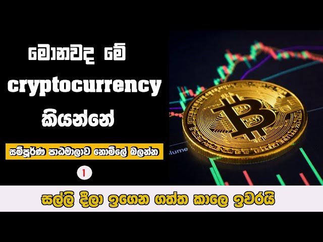 what is cryptocurrency Sinhala  Crypto Sinhala