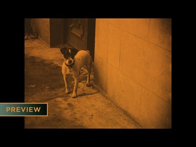 A Canine Sherlock (1912) - Clip [HD]