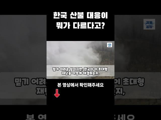 [해외감동사연] 한국 산불 대응은 차원이 다르다고? 미국은 배워야 된다며 난리난 상황
