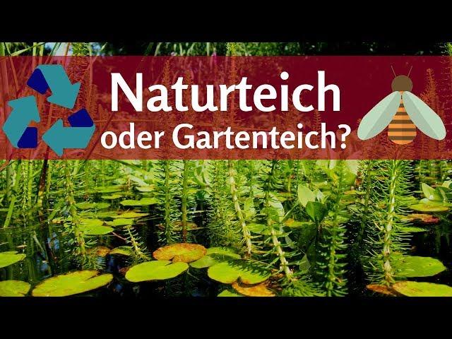 Naturteich oder Gartenteich? Kreislauf und Kapillarsperre bei Teichen