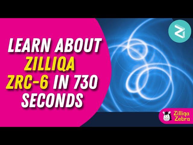 Learn about Zilliqa ZRC-6 in 730 Seconds