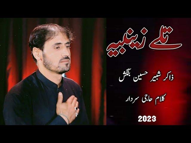 Tale Zainabia | Zakir Shabir Hussain Bangash | Pashto New Noha 2023 | Zakir Shabir New Noha 2023_24