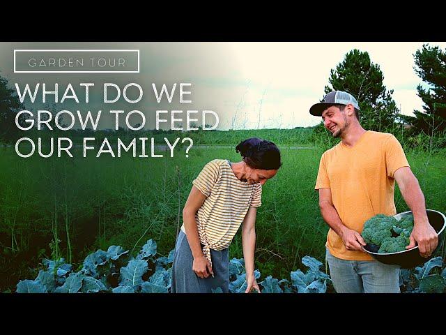 How We Grow Our Own Food (for a family of 6!) | Kitchen Garden Tips for Beginners