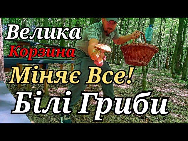 І Попробуй не Вір в Дива після Такого... Середа 19 червня 2024 поміняли Корзину і дивіться Шо вийшло