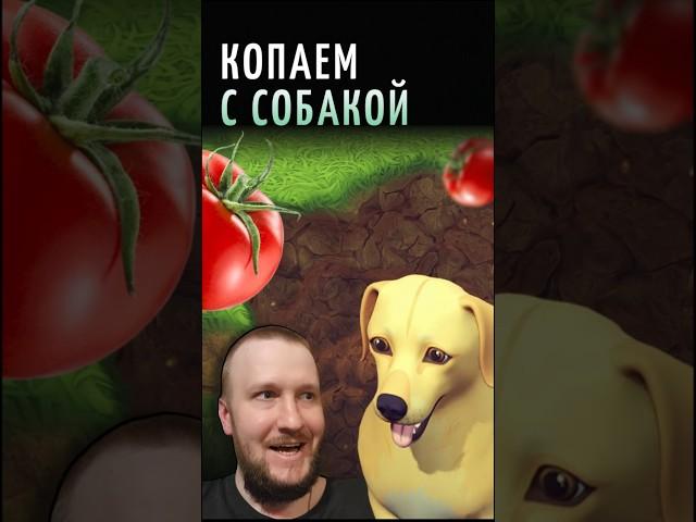 #летсплей #game #gameplay #gaming #games #letsplay #игры #игра #прохождение #gamer #прикол #приколы