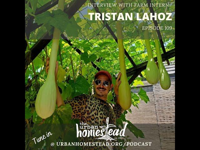 Urban Homestead Radio Episode 109: Interview with Tristan Lahoz (8/03/21)