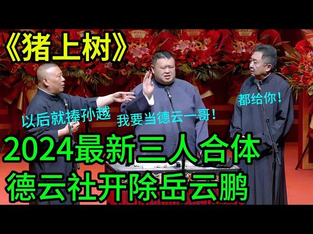 2025开始捧孙越！德云社开除岳云鹏！罕见三人同台！2024纲丝节最新相声！ | #郭德纲 #于谦 #高峰#郭麒麟 #阎鹤祥 #搞笑  #德云社 #优酷 #优酷综艺