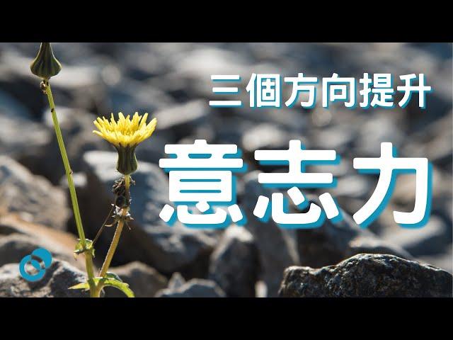 #PSY 三個提升意志力的方向｜個人成長心理學｜五分鐘心理學