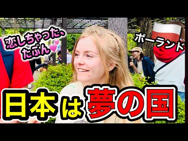 『日本に来るのが夢だったの』日本の〇〇って最高だね！【外国人観光客インタビュー】海外の反応