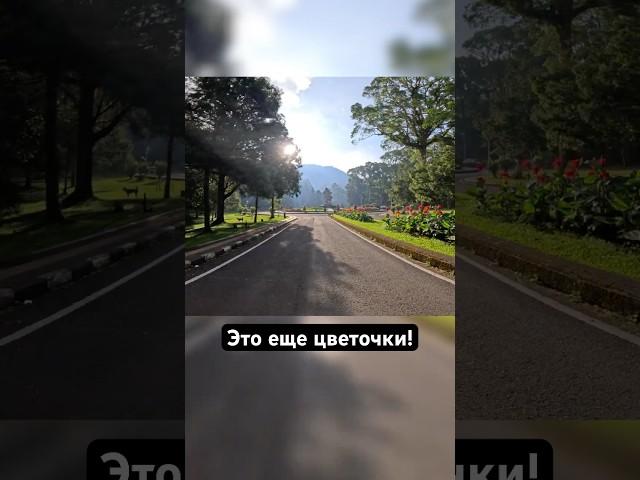ИНСТАГРАМНЫЕ места на БАЛИ #путешествия