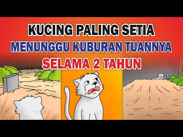 Kisah Kucing Sedih MENUNGGU KUBURAN TUANNYA SELAMA 2 TAHUN Part 04