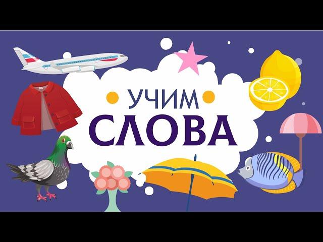 Слова для детей. Учимся говорить по картинкам