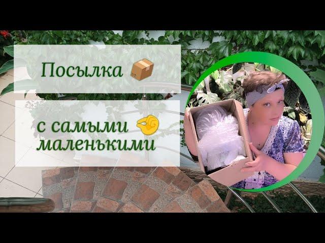 Распаковка посылки с самыми маленькими .